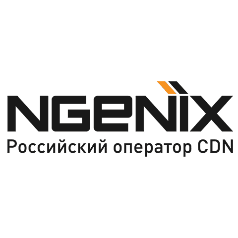 Ngenix logo