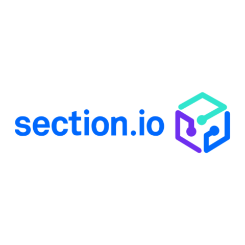 Section IO logo